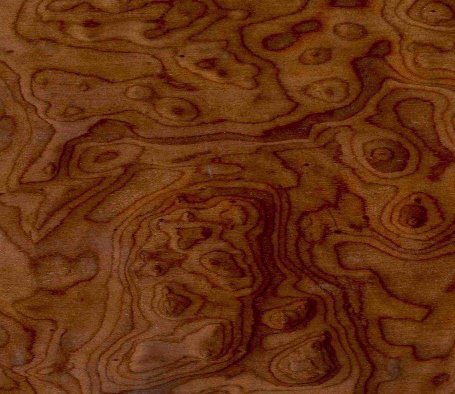 Дерево карельская береза фактура