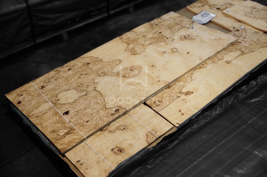 Корейская береза шпон