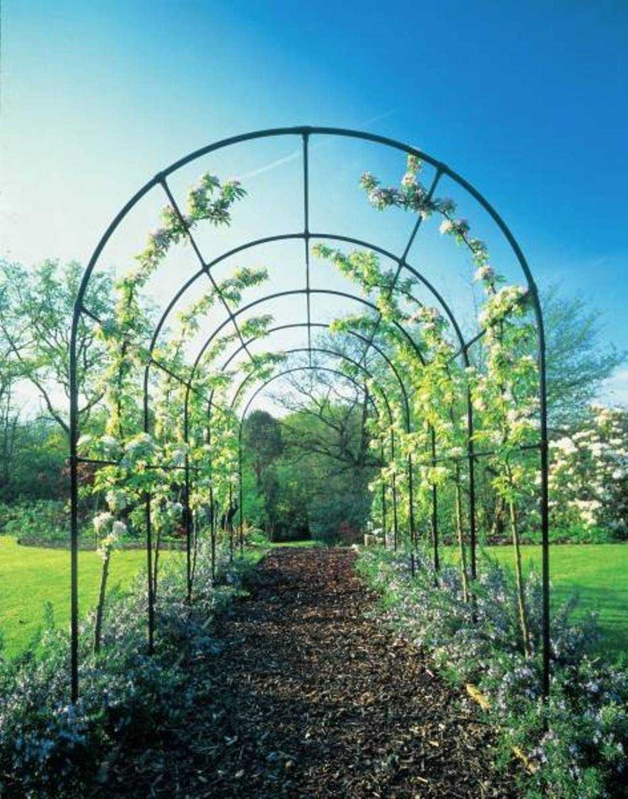 Пергола металлическая для винограда