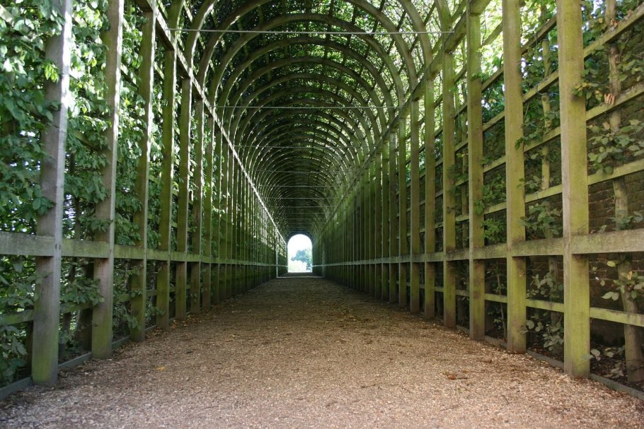 Зеленый тоннель в саду