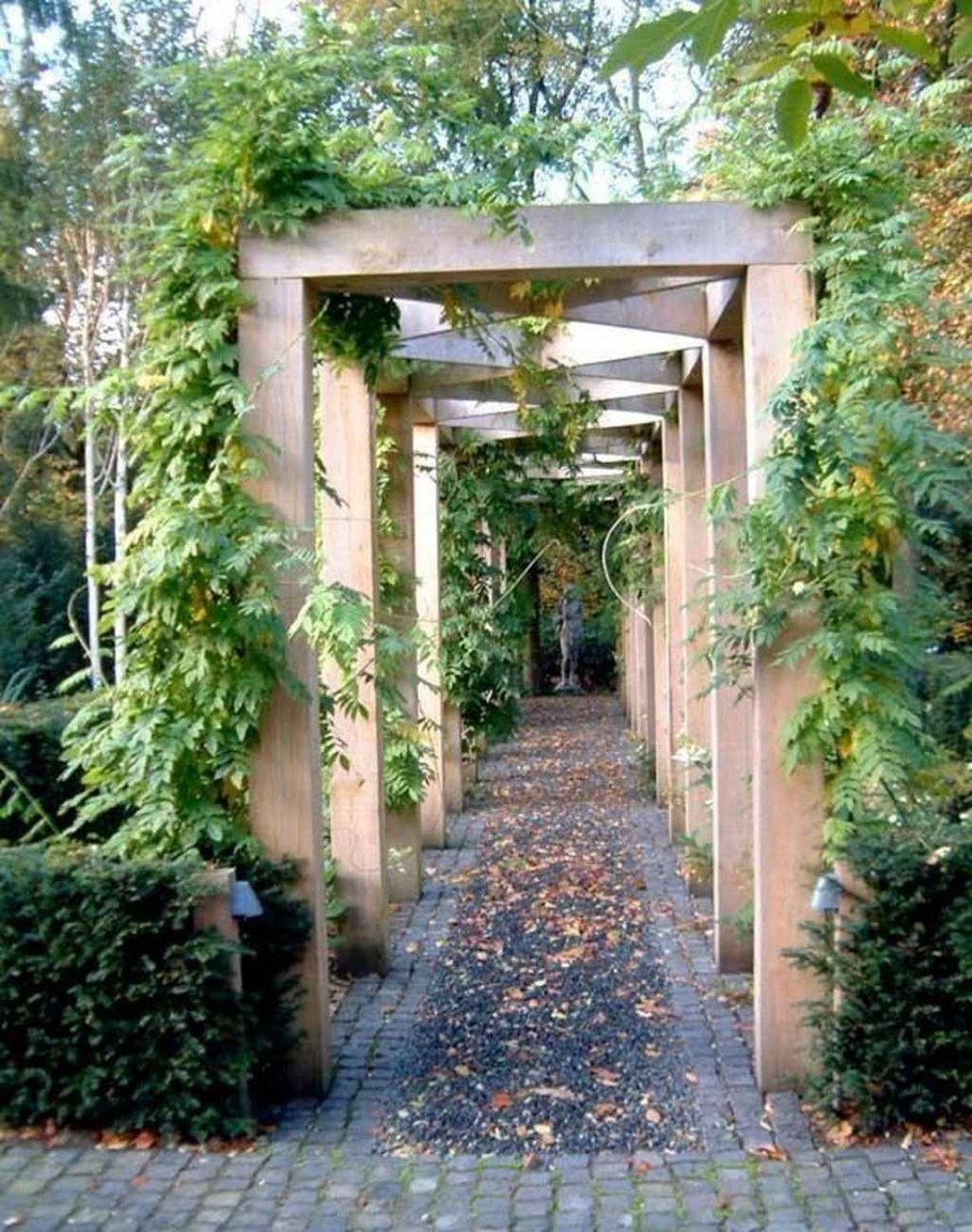 Пергола Берсо в ландшафтном