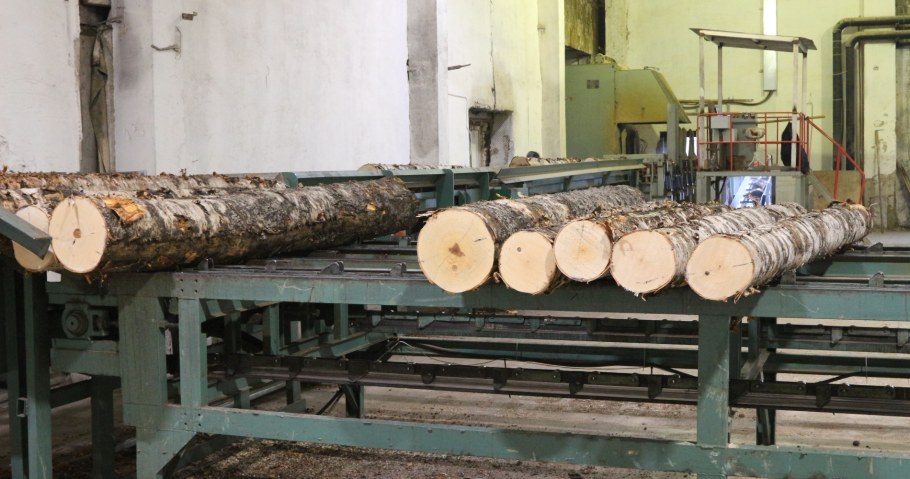 Лущение Чураков на шпон