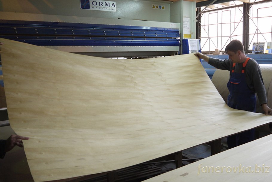 Цех лущения шпона