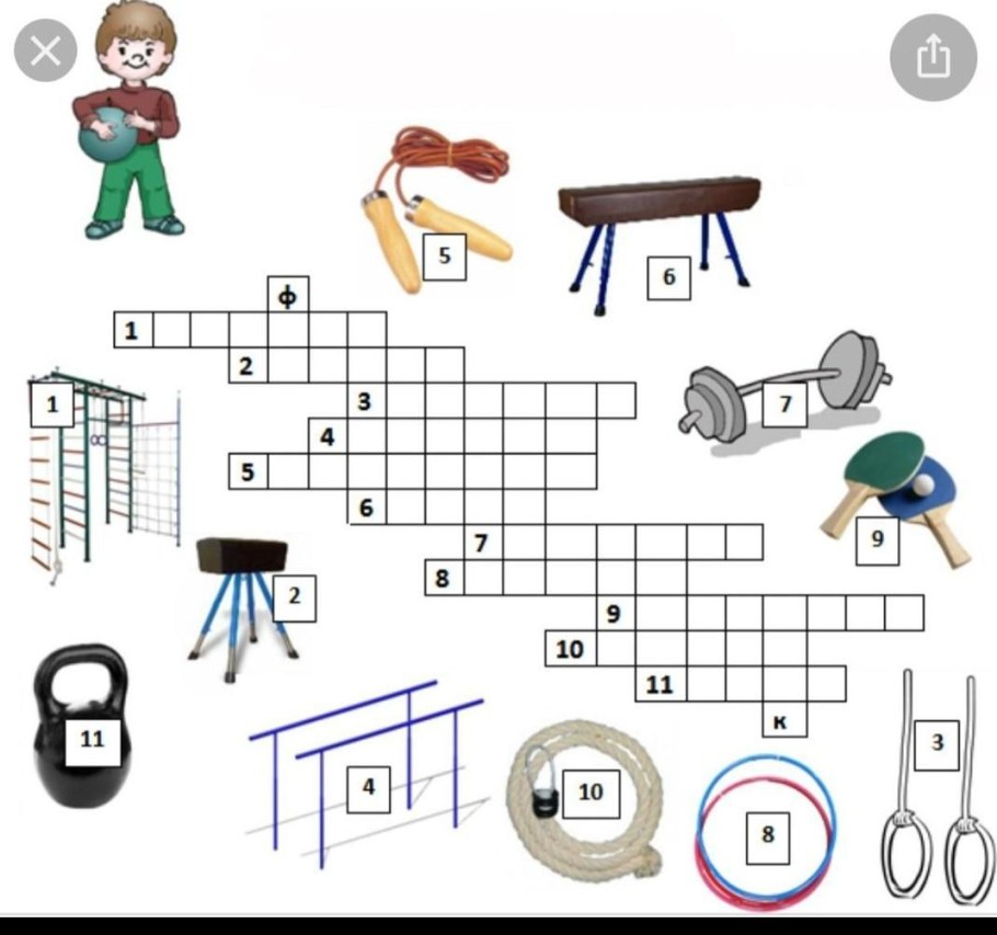 Кроссворд по фикультур