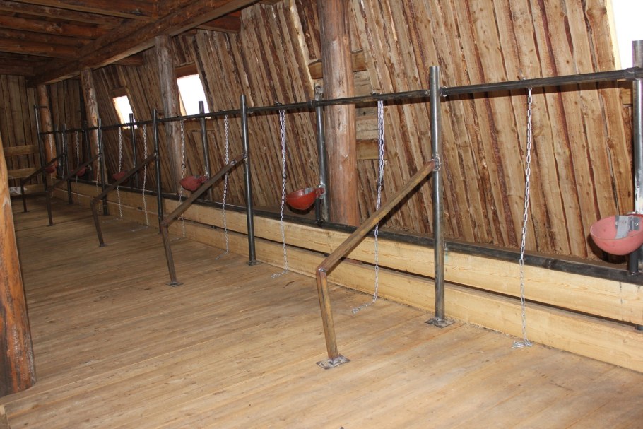 Стойло для коровы