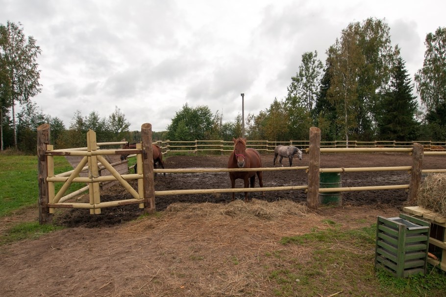Размер загона для лошади