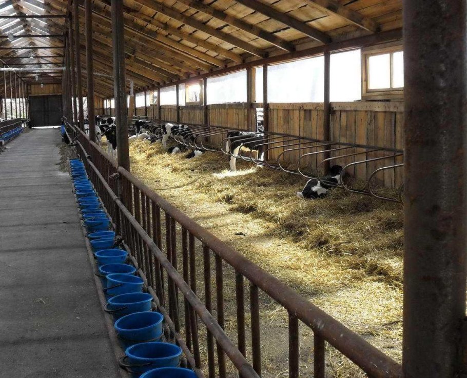 Проект мини ферма Телятник