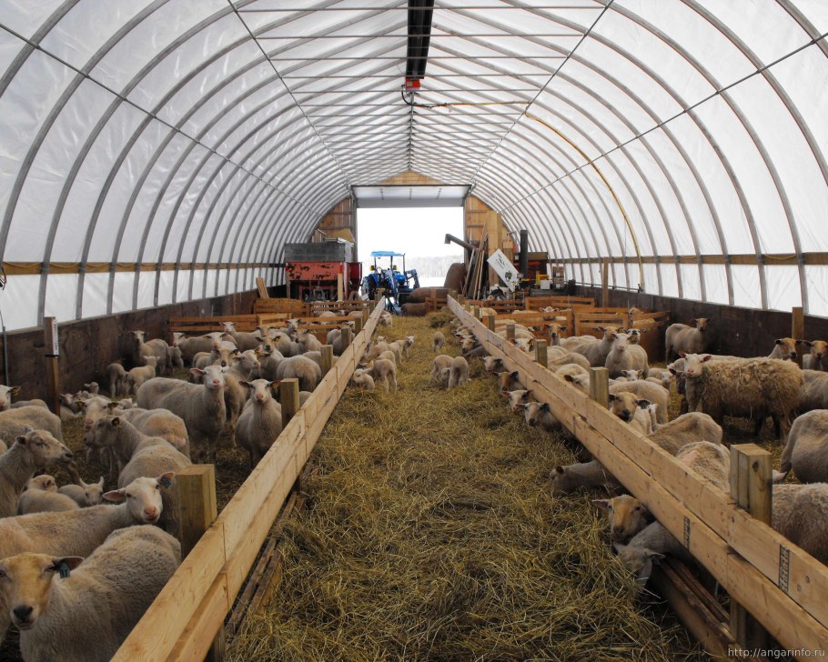 Овчарня для Баранов