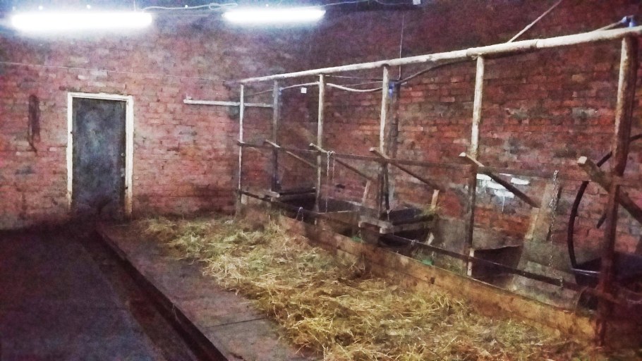 Сарай на 10 Быков