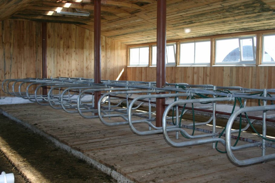 Ферма для коров проект 20 голов