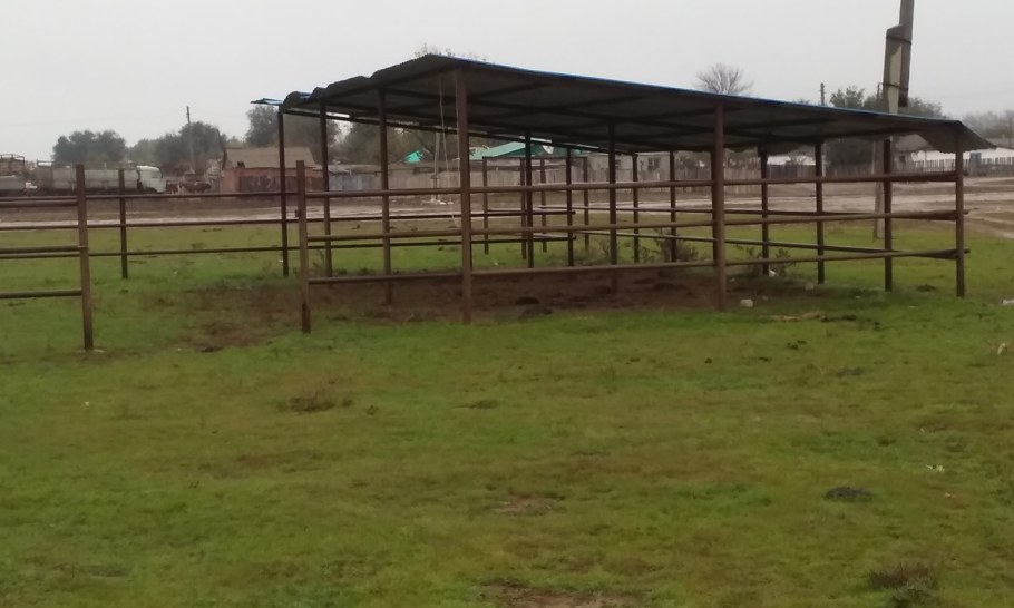 Летний загон для Быков