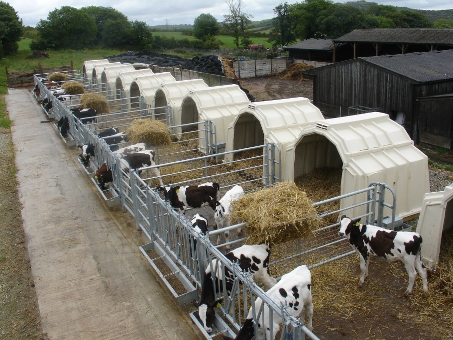 Calf Tel домики для телят