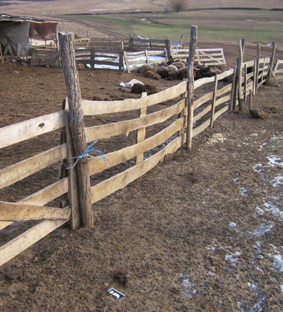 Забор для загона Баранов