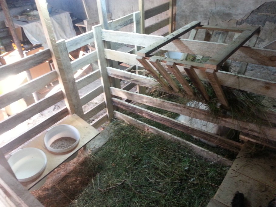 Кормушка для коз в козлятнике