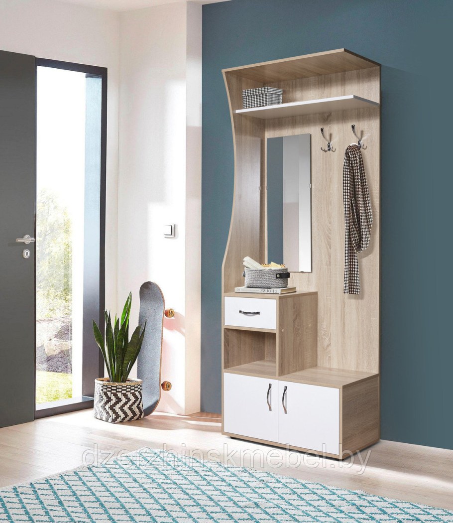 Шкаф в прихожую с распашными дверями