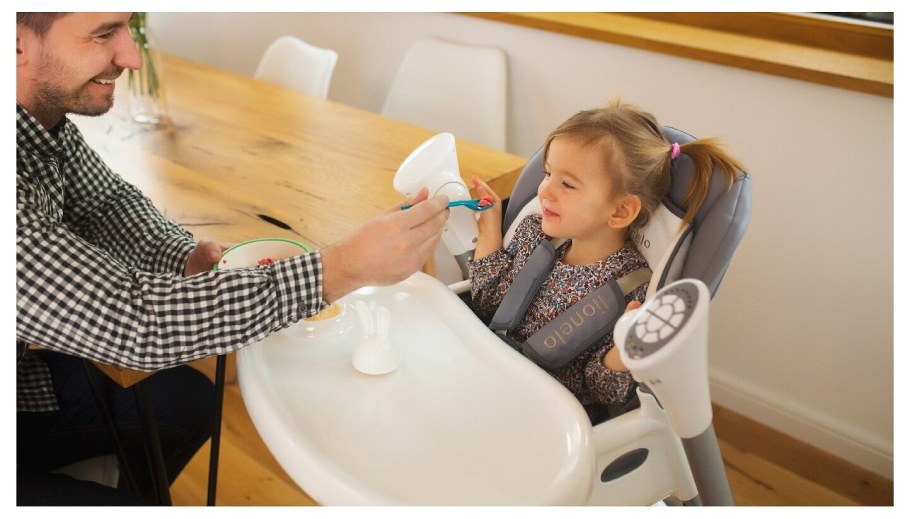 Lionelo стул-качели lo-Niles