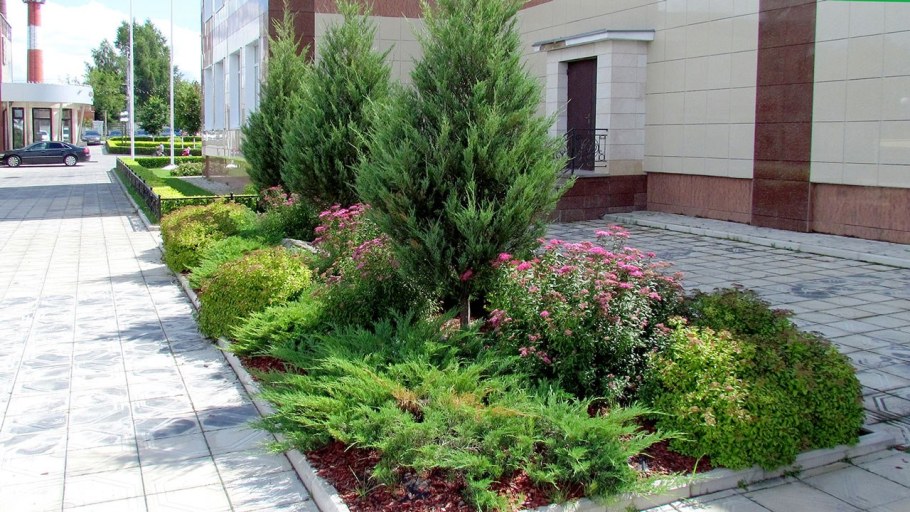 Озеленение территории предприятия