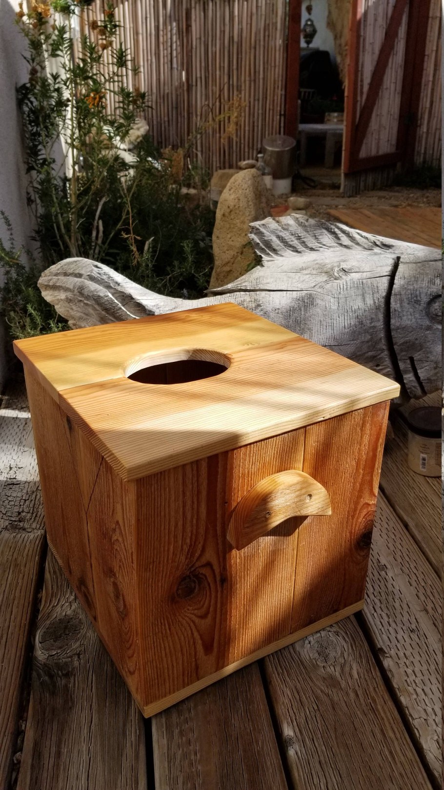 Иони стим что это