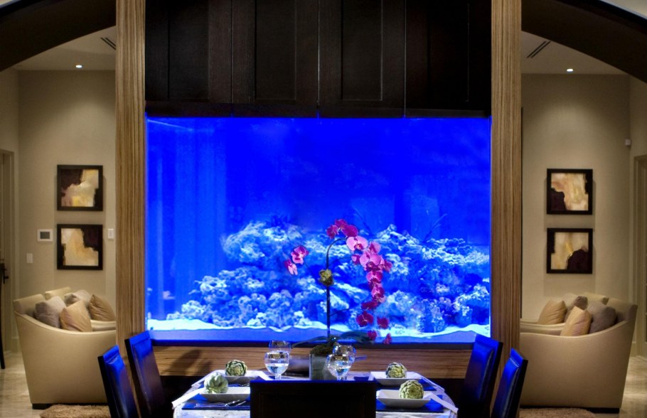 Аквариумы в стене огромные