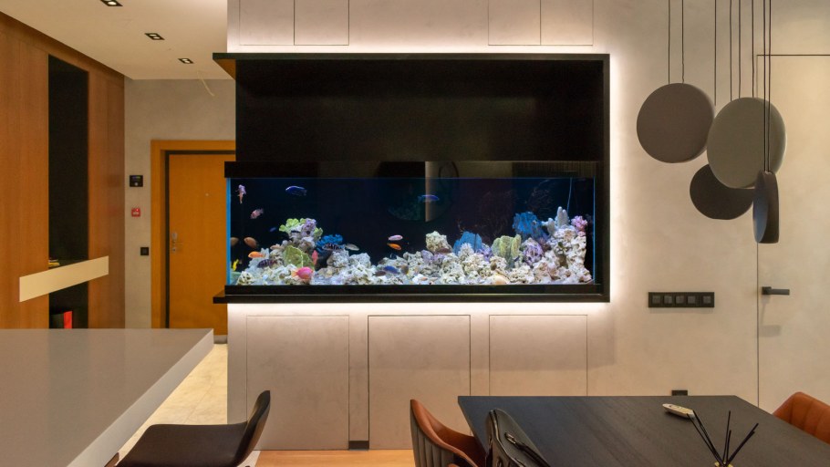 Дмитрий Черносков аквариум