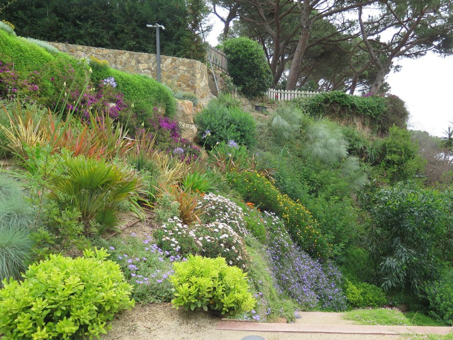 Средиземноморский миксбордер