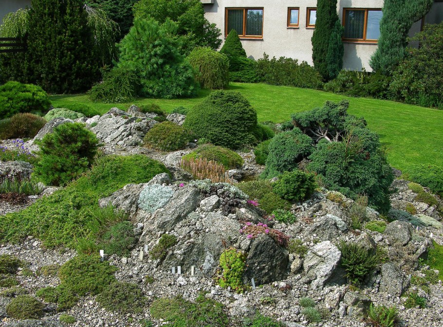 Рокарий чешская Альпийская горка