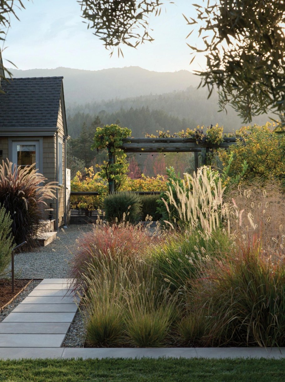 Пит Уильямс ландшафтный дизайнер