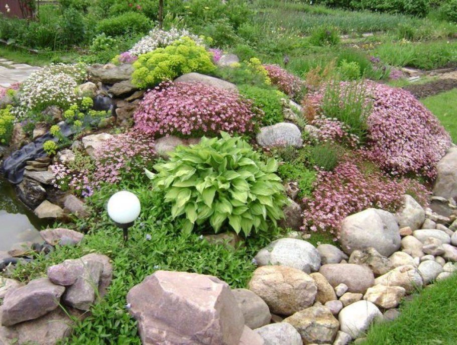 Альпинарий и рокарий