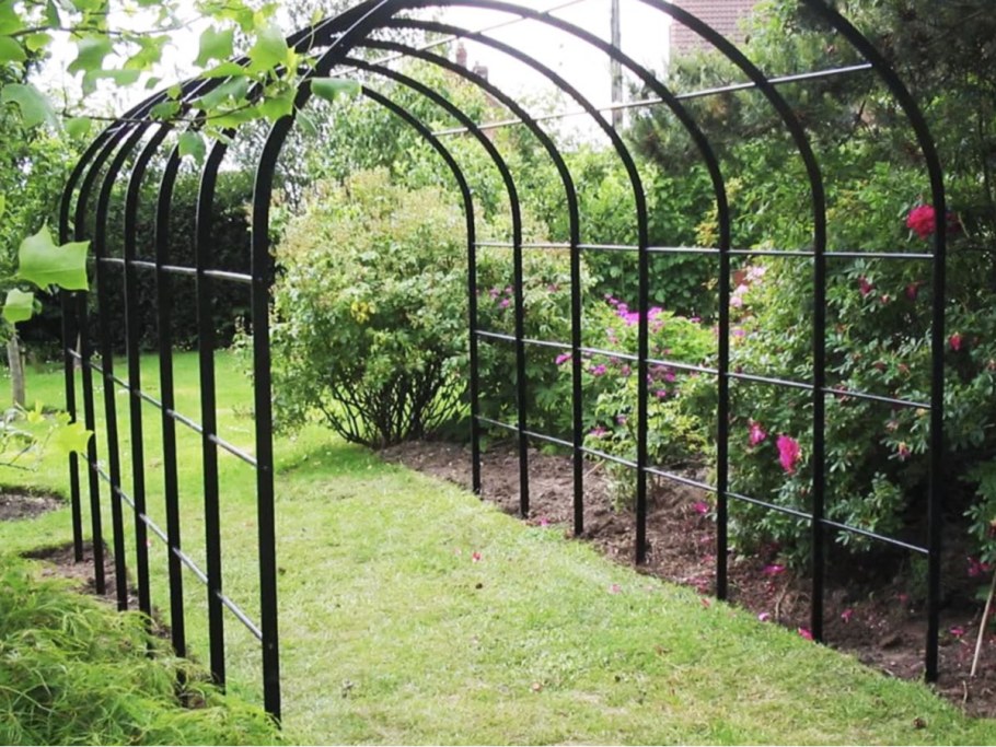 Виноградная полуарка