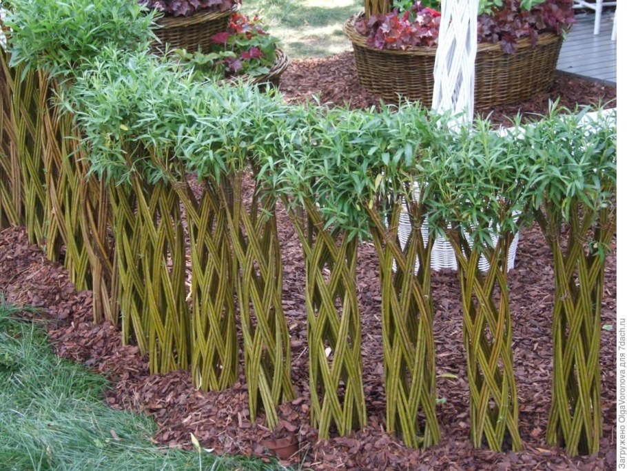 Плетеная Ива изгородь