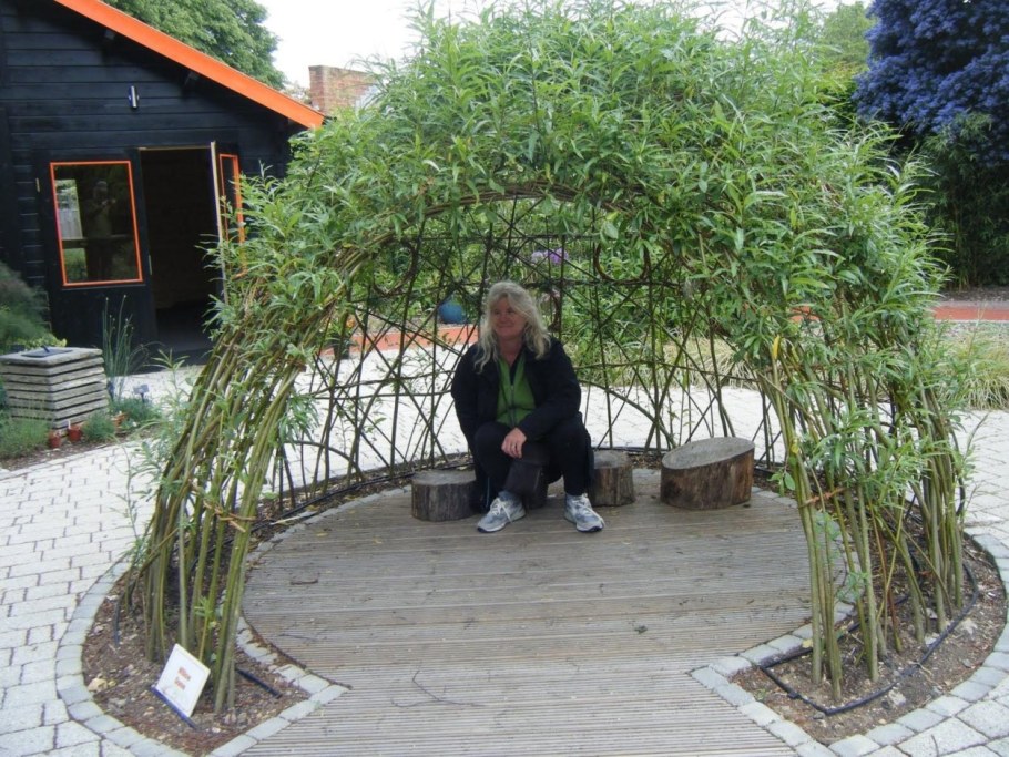 Беседка Живая изгородь Ива