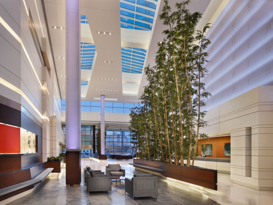 Hospital Interior Lobby Design