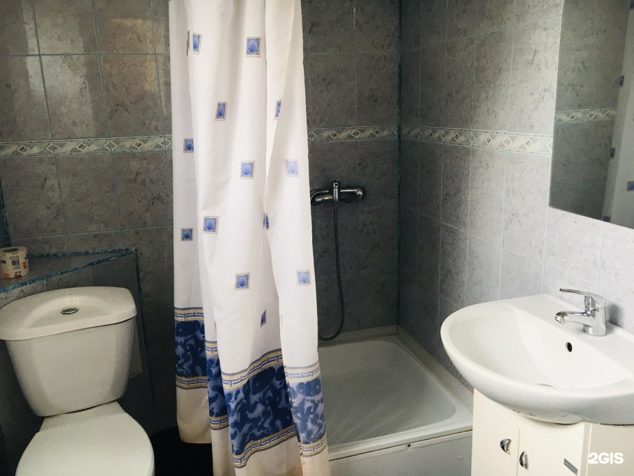 Чайка Светлогорск