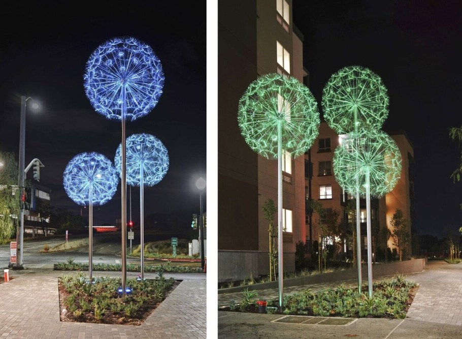 Парк Галицкого одуванчики