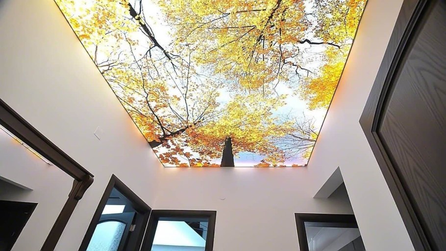 Натяжные потолки с фотопечатью