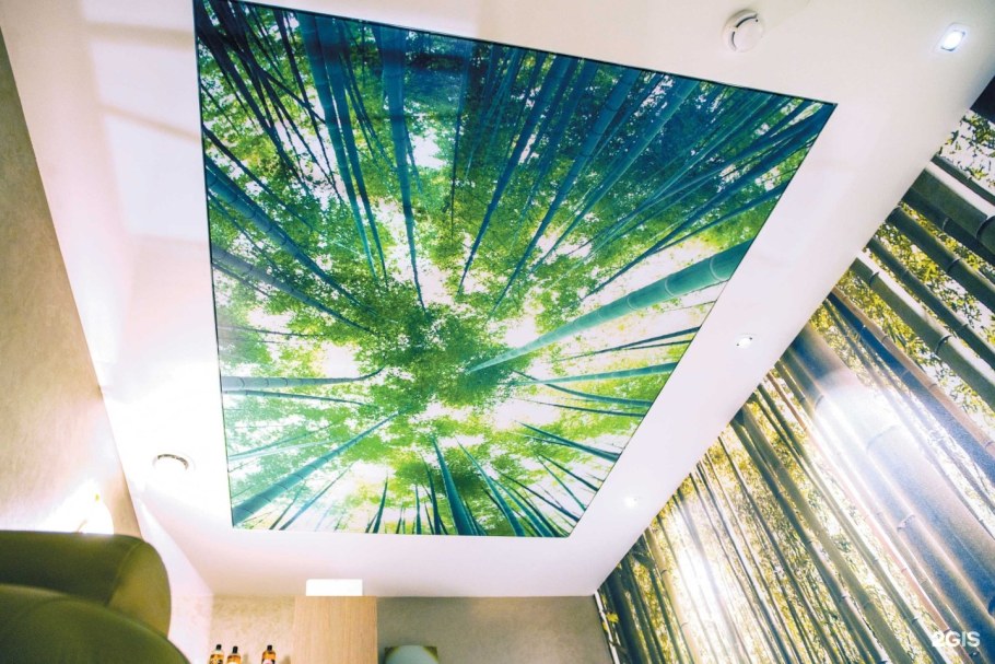 Печать на натяжных потолках