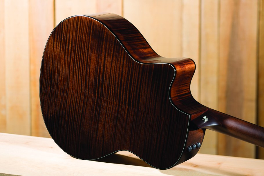 Индийский палисандр дерево