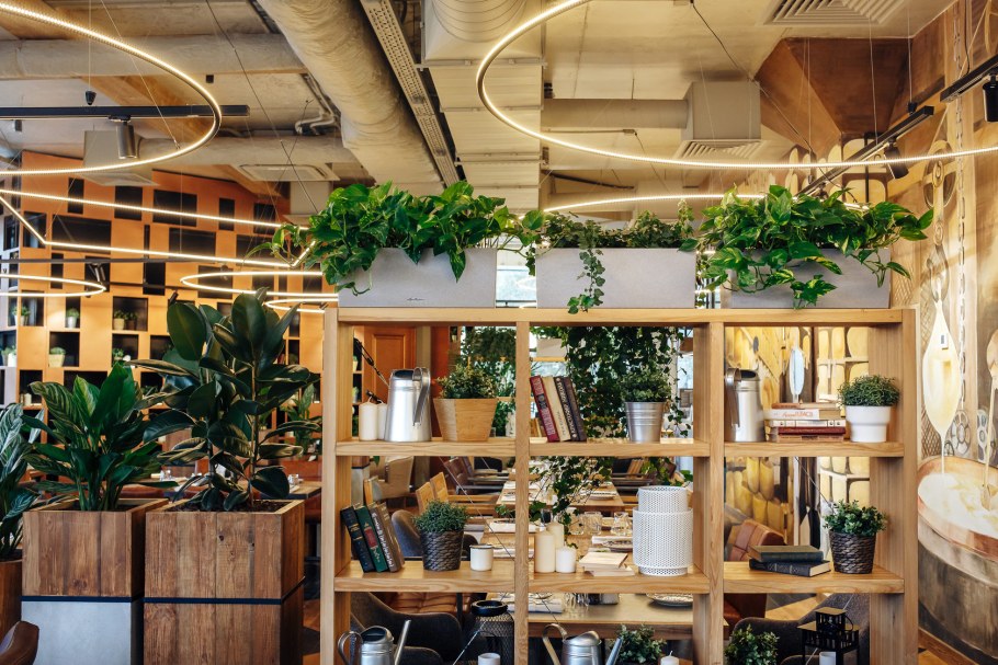 Кафе сыроварня Воронеж