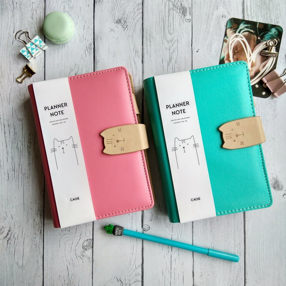 Необычные ежедневники