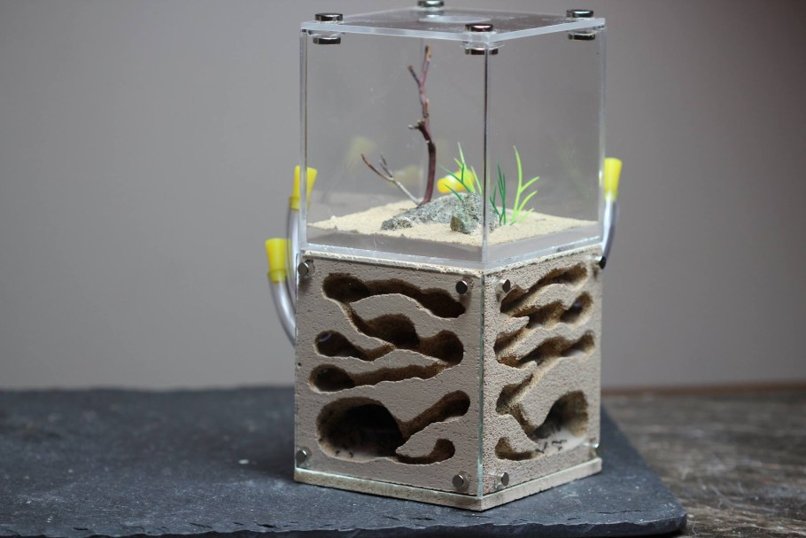 Формикарий остров