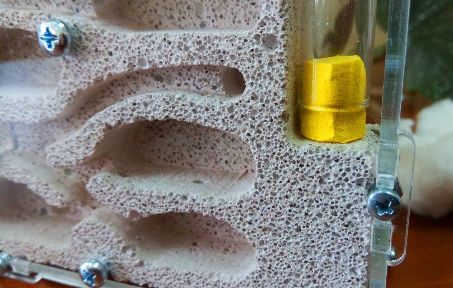 Увлажнение формикария муравьев