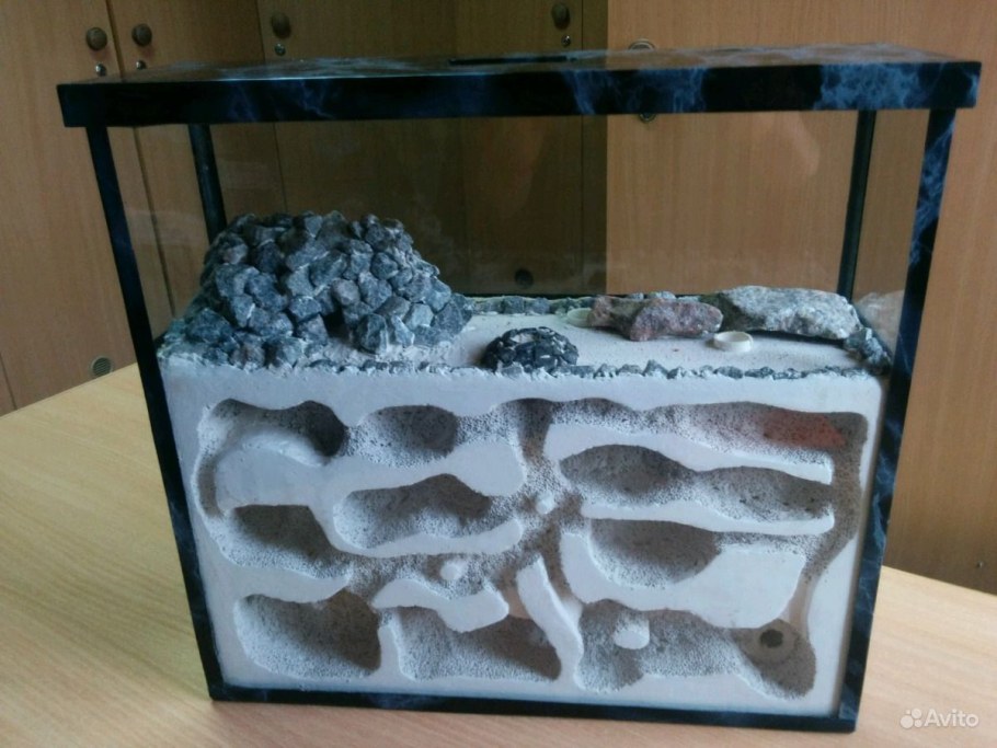 Аквариум для муравьиной фермы