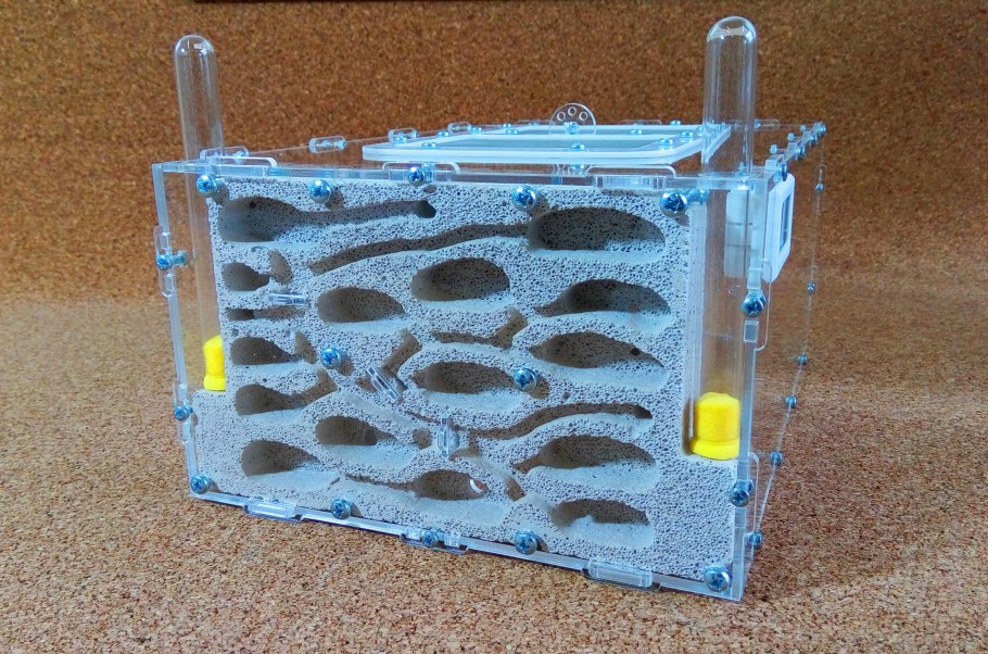 Муравьиная ферма большая с муравьями