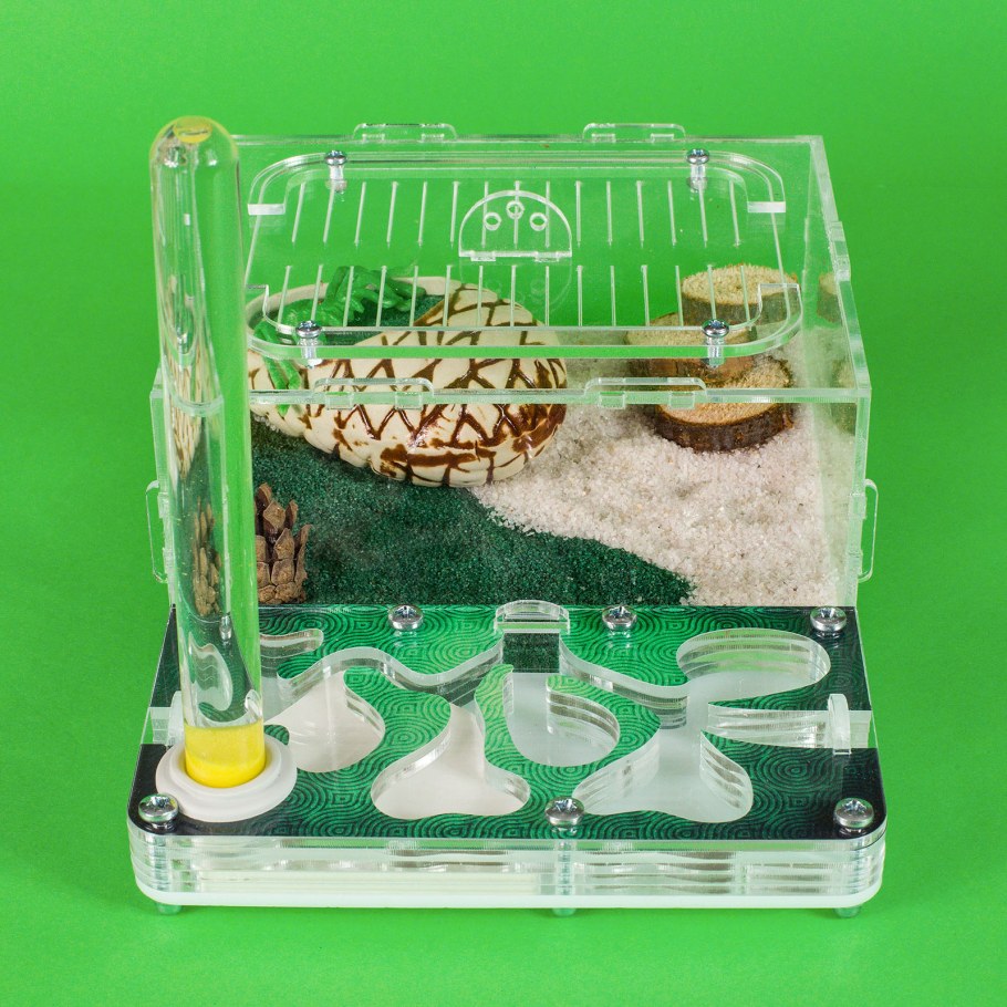 Муравьиная ферма Messor structor large