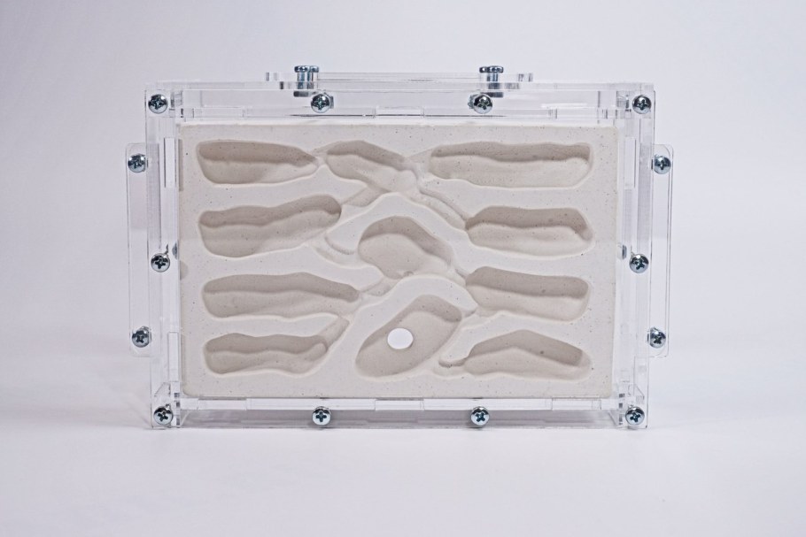 Гипсовый формикарий