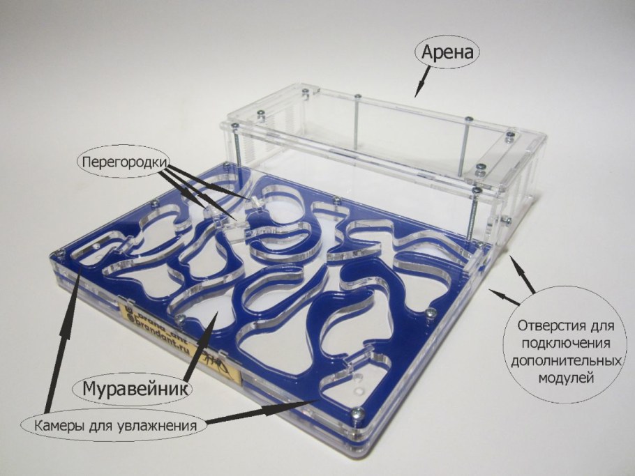 Муравьиная ферма (формикарий) чертеж