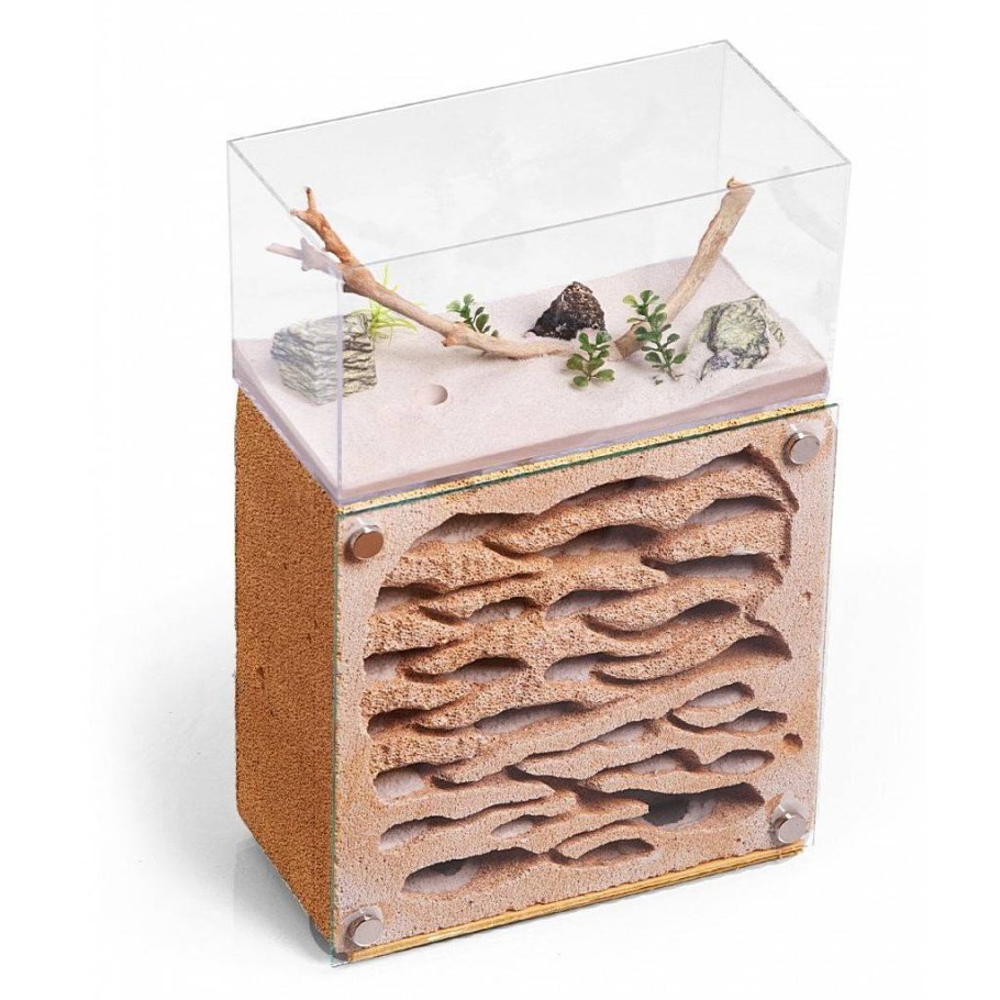 Вертикальная формикарий муравьиная ферма