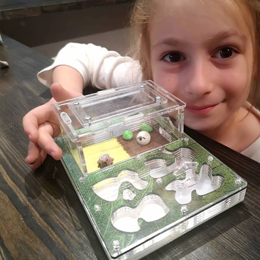 Муравьиная ферма Ant Farm 13х12см