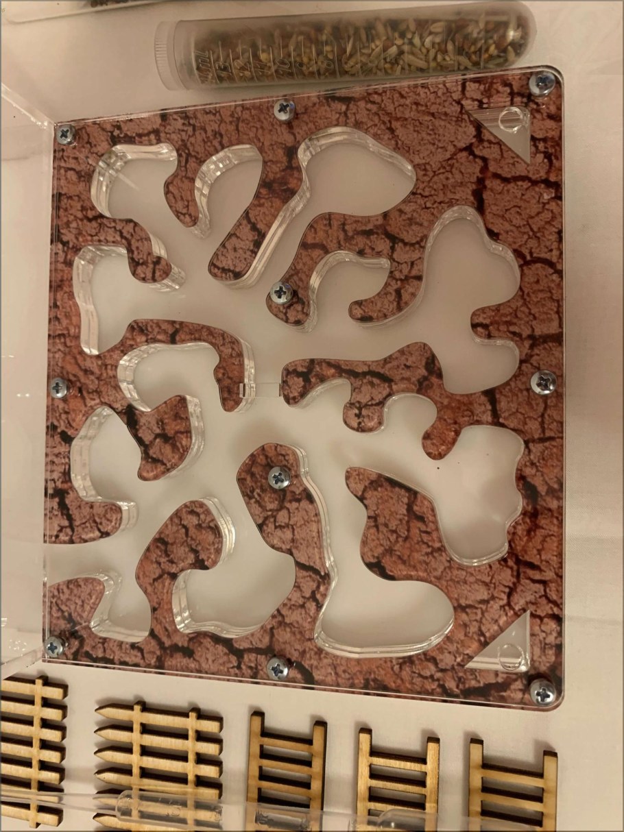 Муравьиная ферма Атакама