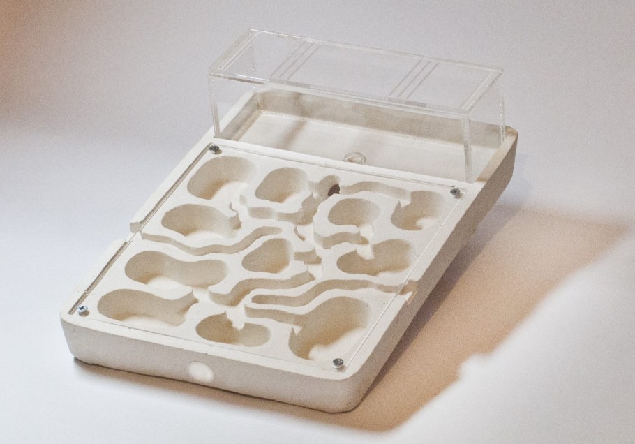 Муравьиная ферма "древние"